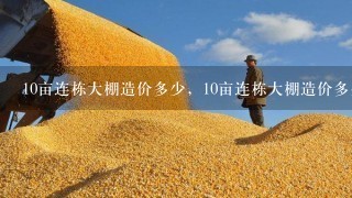 10亩连栋大棚造价多少，10亩连栋大棚造价多少