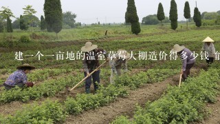 建1个1亩地的温室草莓大棚造价得多少钱 能最便宜 而且寿命长的