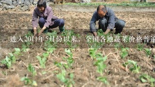 进入2011年5月份以来，全国各地蔬菜价格普遍回落。随着夏季蔬菜生产、供应旺季的到来，各地露地蔬菜将陆续大量上市...