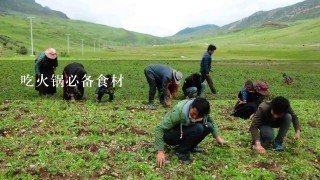 吃火锅必备食材