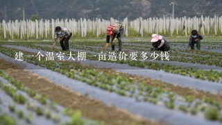 建1个温室大棚1亩造价要多少钱