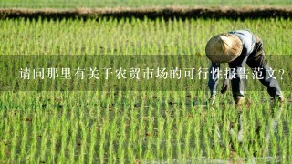 请问那里有关于农贸市场的可行性报告范文？急 跪谢