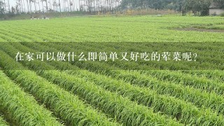 在家可以做什么即简单又好吃的荤菜呢？