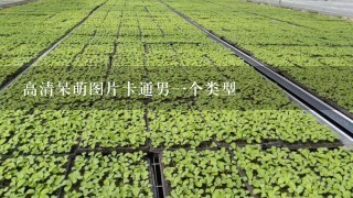 高清呆萌图片卡通男1个类型