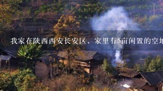 我家在陕西西安长安区，家里有5亩闲置的空地。不知