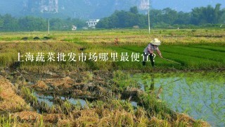 上海蔬菜批发市场哪里最便宜？