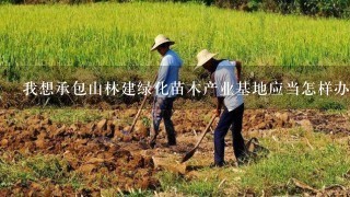 我想承包山林建绿化苗木产业基地应当怎样办