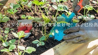 5岁小孩吃什么补钙效果最好呢？孩子已经出现缺钙的问题。