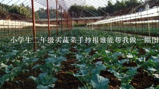 小学生2年级买蔬菜手抄报谁能帮我做1幅图吗