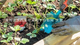 贵州省医药集中采购平台如何 注册