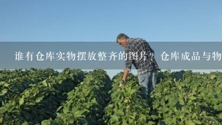 谁有仓库实物摆放整齐的图片？仓库成品与物料怎样摆放？