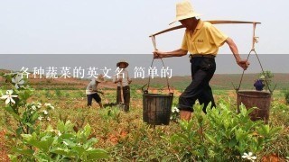 各种蔬菜的英文名 简单的