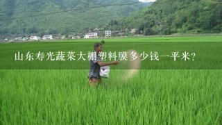 山东寿光蔬菜大棚塑料膜多少钱1平米？