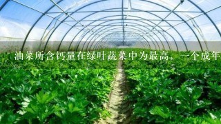 油菜所含钙量在绿叶蔬菜中为最高，1个成年人1天吃500克油菜，其所含钙、铁。()维生素A和C即可满足生理需求。()