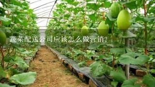 蔬菜配送公司应该怎么做营销？