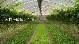 怎样泡酸辣大白菜？