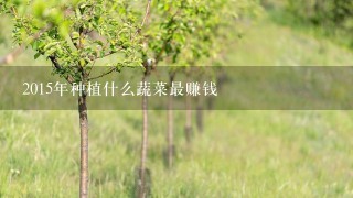 2015年种植什么蔬菜最赚钱