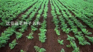 饥荒蔬菜种子名称