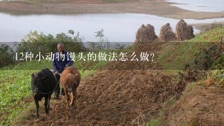 12种小动物馒头的做法怎么做？