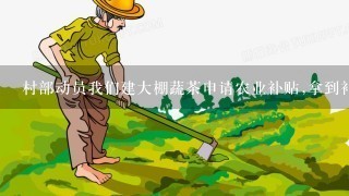 村部动员我们建大棚蔬茶申请农业补贴,拿到补贴村部不给我们合