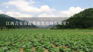 江西吉安市蔬菜批发市场在哪里？