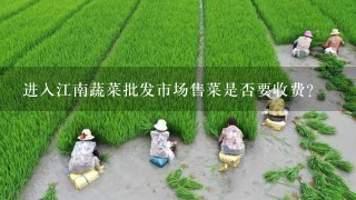 进入江南蔬菜批发市场售菜是否要收费？