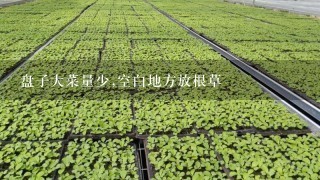 盘子大菜量少,空白地方放根草