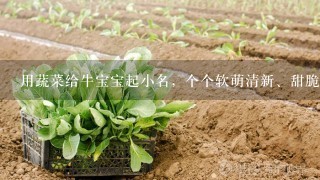 用蔬菜给牛宝宝起小名，个个软萌清新、甜脆可爱，寓