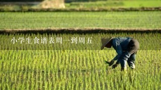 小学生食谱表周1到周5