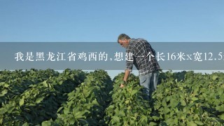 我是黑龙江省鸡西的,想建1个长16米x宽12.5米=200平方的蔬菜大棚，请问怎么建?大概要多少钱?谢谢。