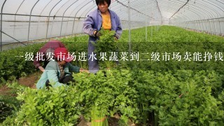 1级批发市场进水果蔬菜到2级市场卖能挣钱吗