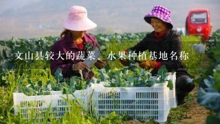 文山县较大的蔬菜、水果种植基地名称