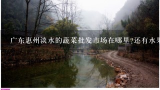 广东惠州淡水的蔬菜批发市场在哪里?还有水果批发，最好大型点的，谢谢？