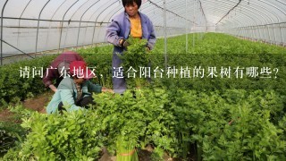 请问广东地区，适合阳台种植的果树有哪些？