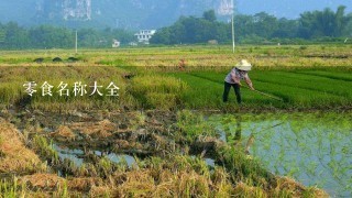 0食名称大全