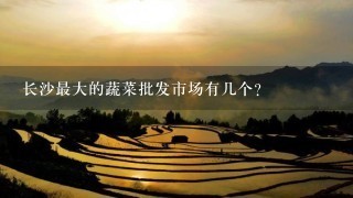 长沙最大的蔬菜批发市场有几个？