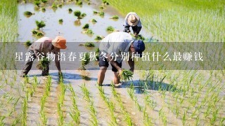 星露谷物语春夏秋冬分别种植什么最赚钱