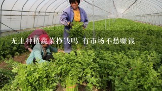 无土种植蔬菜挣钱吗 有市场不愁赚钱