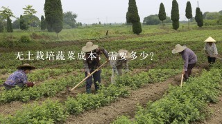 无土栽培蔬菜成本，需要多少？