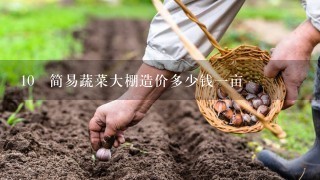 10 简易蔬菜大棚造价多少钱1亩