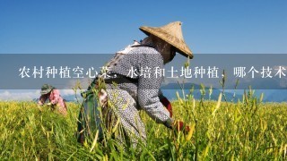 农村种植空心菜，水培和土地种植，哪个技术更容易掌握？