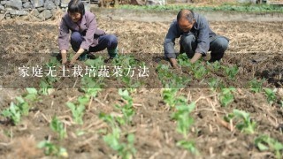 家庭无土栽培蔬菜方法