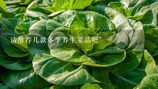 请推荐几款冬季养生菜品吧~