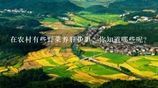 在农村有些野菜养肝护胆，你知道哪些呢？