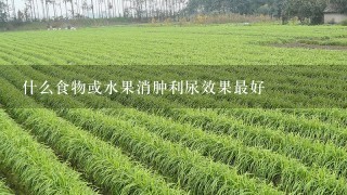 什么食物或水果消肿利尿效果最好