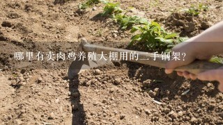 哪里有卖肉鸡养殖大棚用的2手钢架?