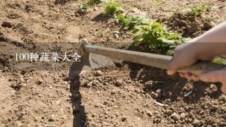 100种蔬菜大全