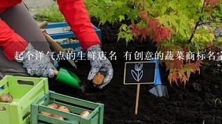 起个洋气点的生鲜店名 有创意的蔬菜商标名字？