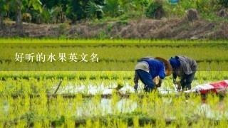 好听的水果英文名