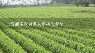 上海浦南农贸批发市场的介绍